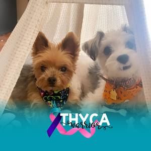 Meet your Posher, Debbie